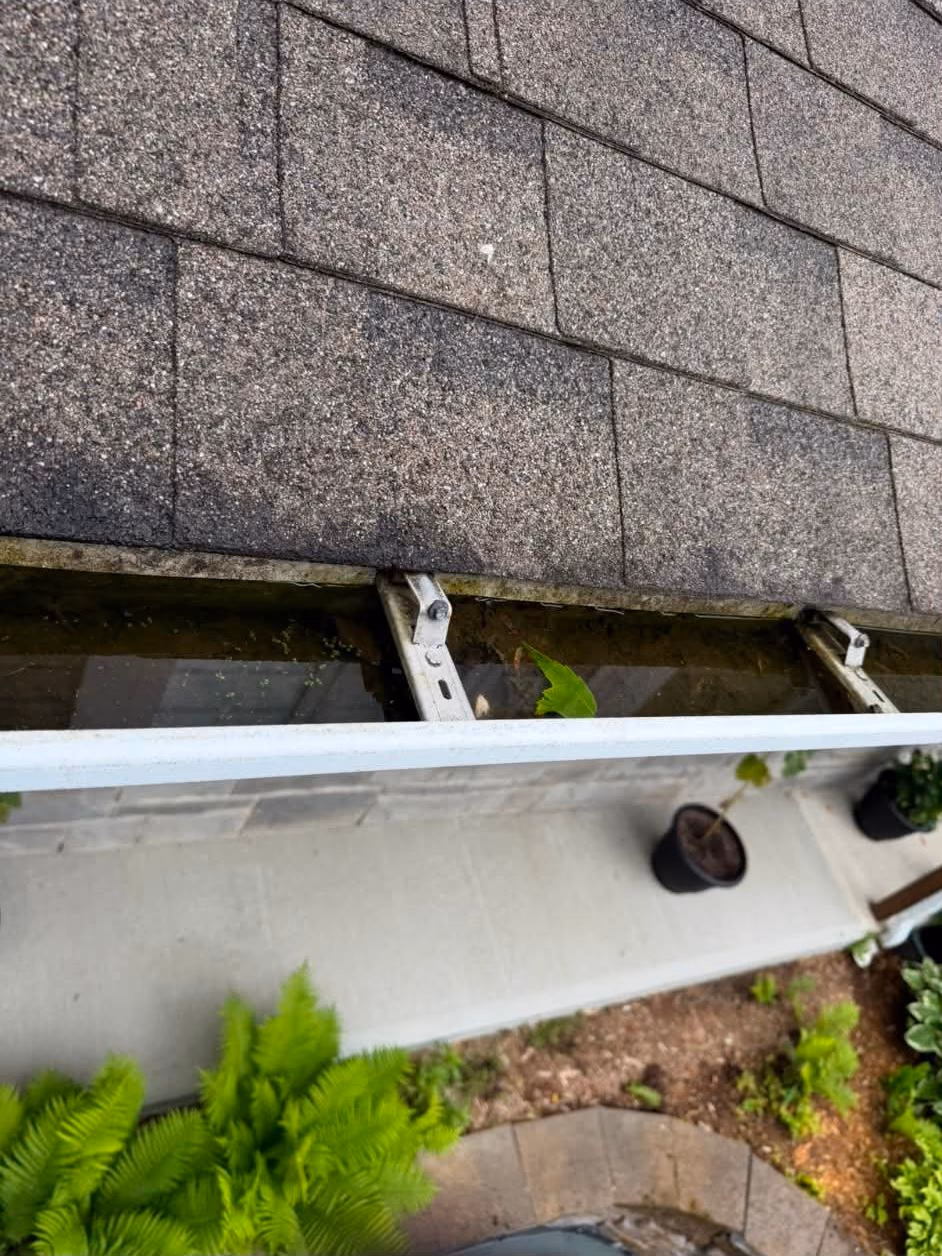 Avant : Gouttières obstruées par la mousse et les débris, dégagées pour un drainage optimal.